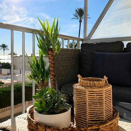 Peru Palm View