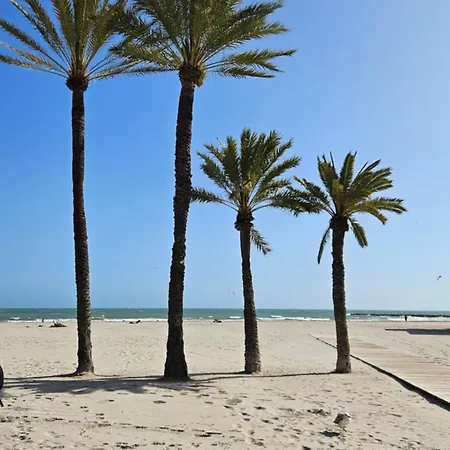 Peru Palm View 산타 폴라
